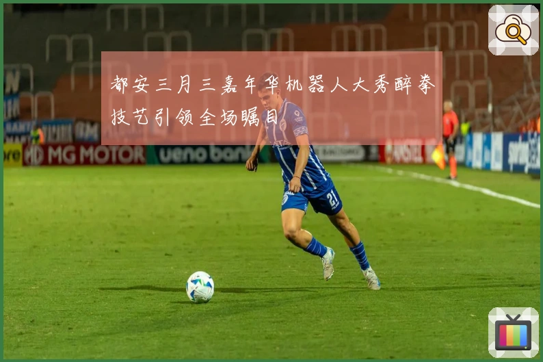 都安三月三嘉年华机器人大秀醉拳技艺引领全场瞩目