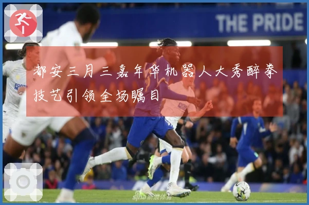 都安三月三嘉年华机器人大秀醉拳技艺引领全场瞩目